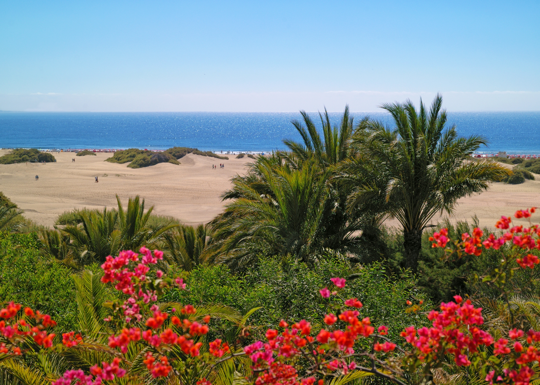 10 Gründe für einen Sommerurlaub Gran Canaria | Skyscanner