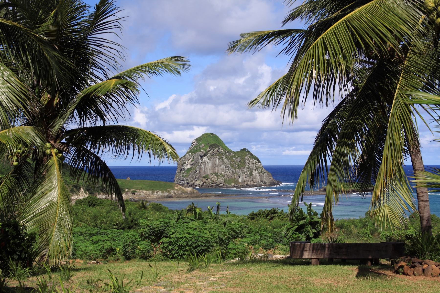 jungle, beach, and islet in the tropics