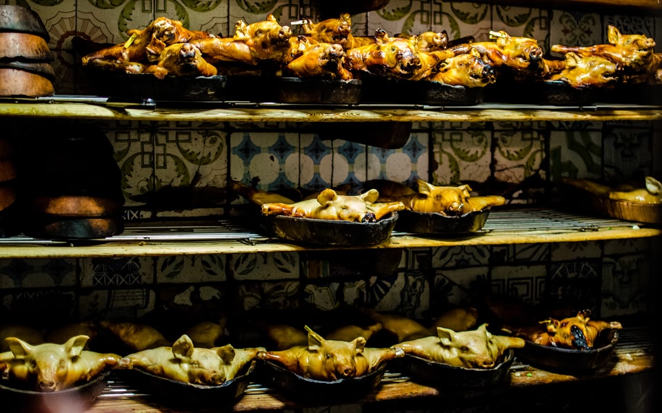 Cochinillos en Casa Botín