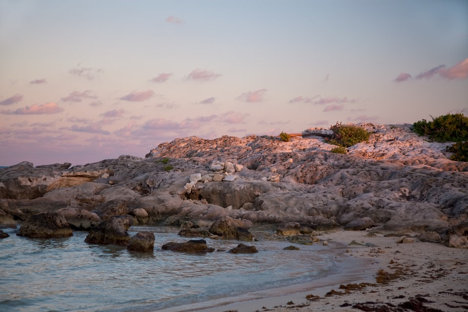 Cozumel landscape