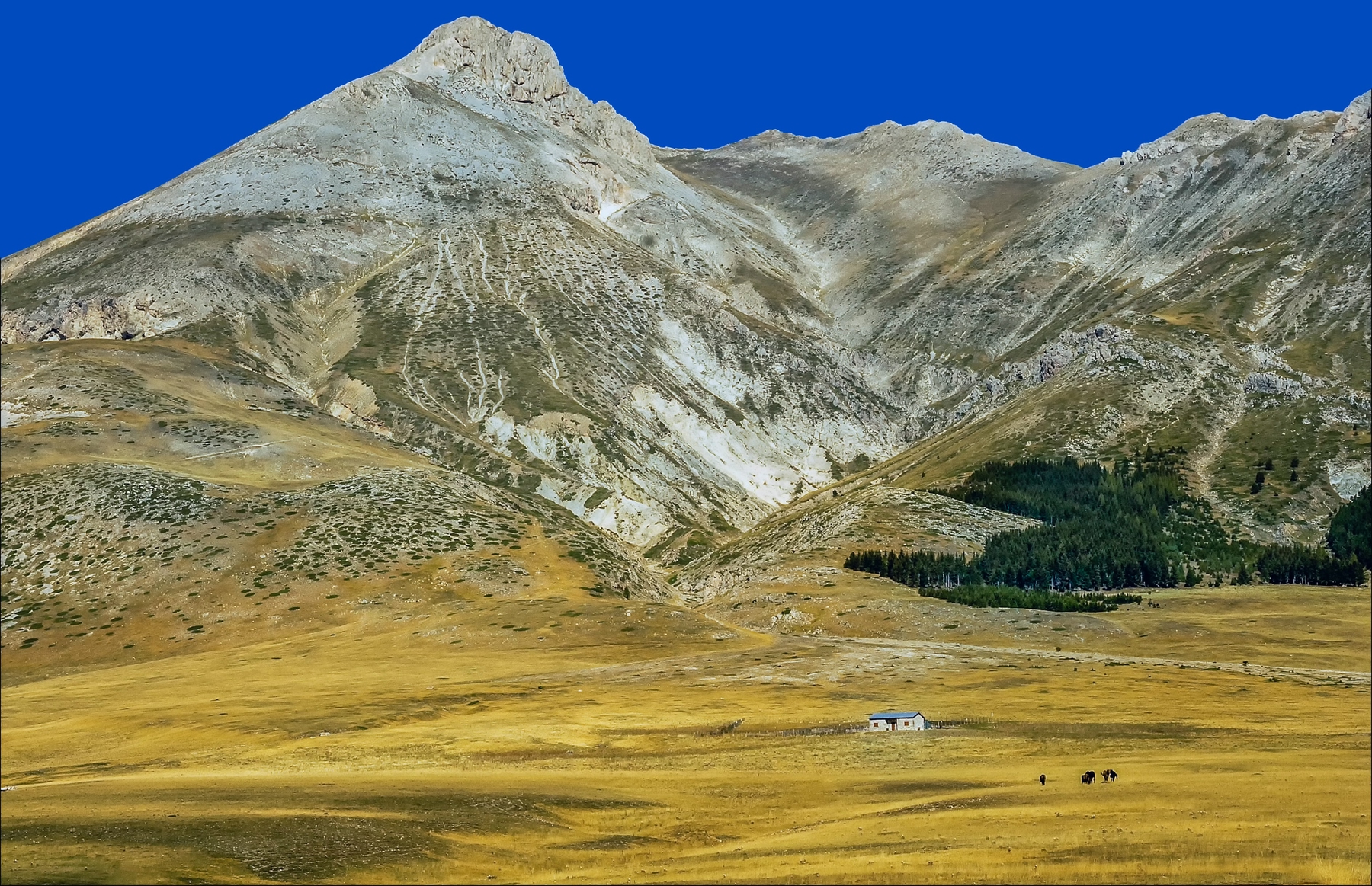 Viaggio nella natura selvaggia - Gran Sasso