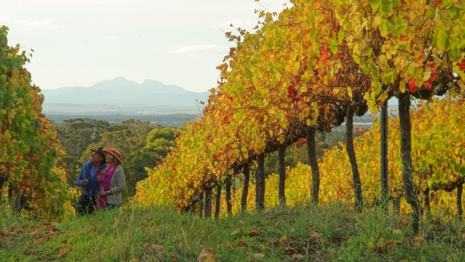 Couple enjoying wine country