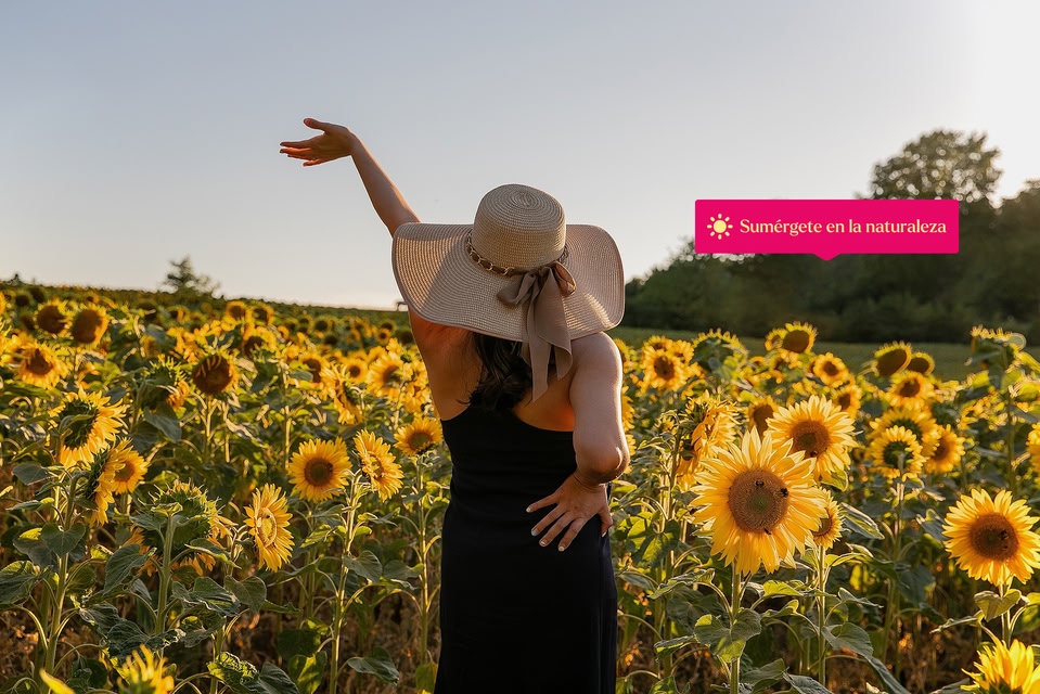 Sumérgete en la naturaleza con Skyscanner. Campo de girasoles y otros destinos con flores. 