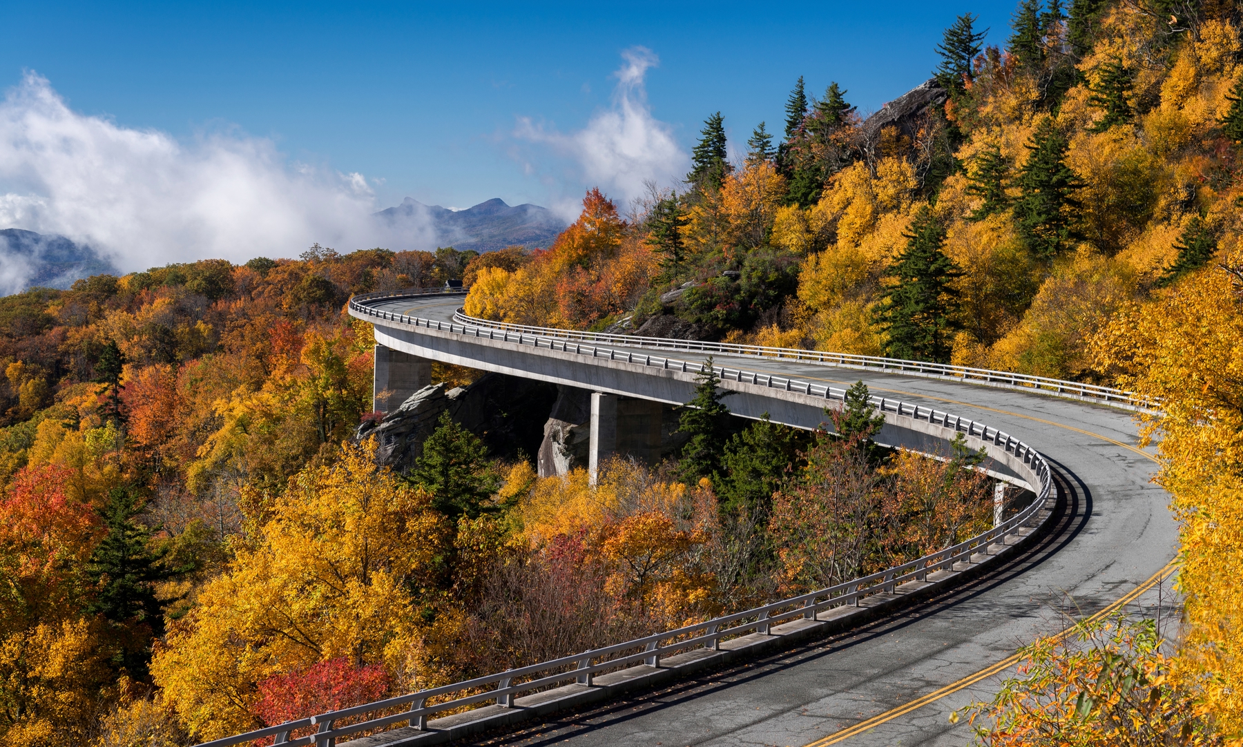 fall foliage on either side of an open road in USA