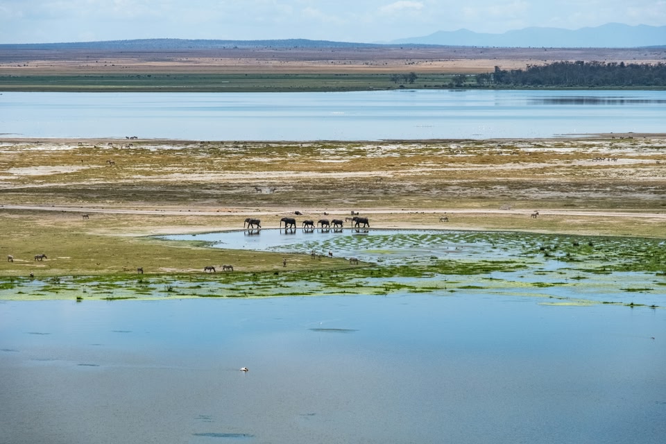 Immagine di un Safari in Africa