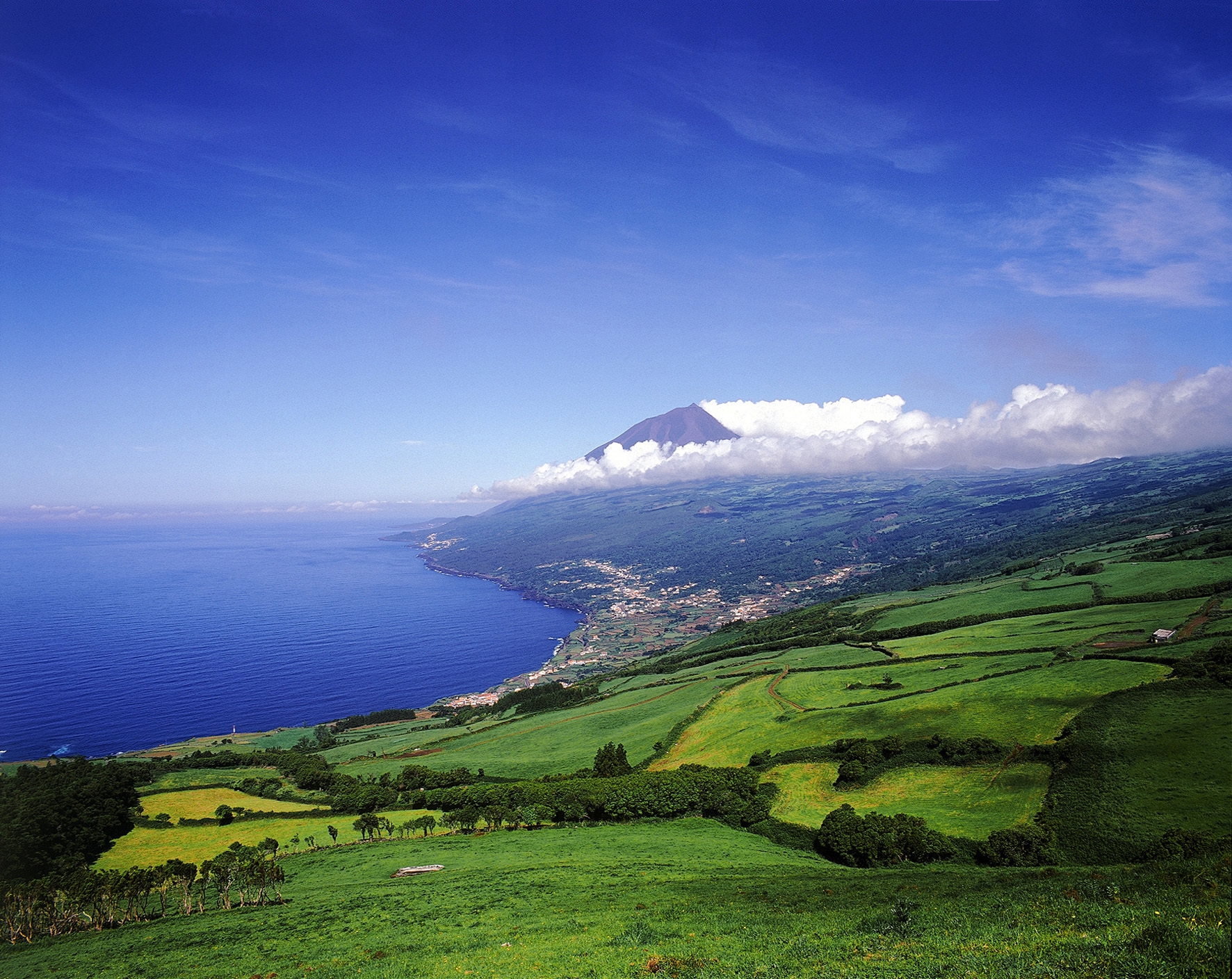 Pico Islandm the Azores