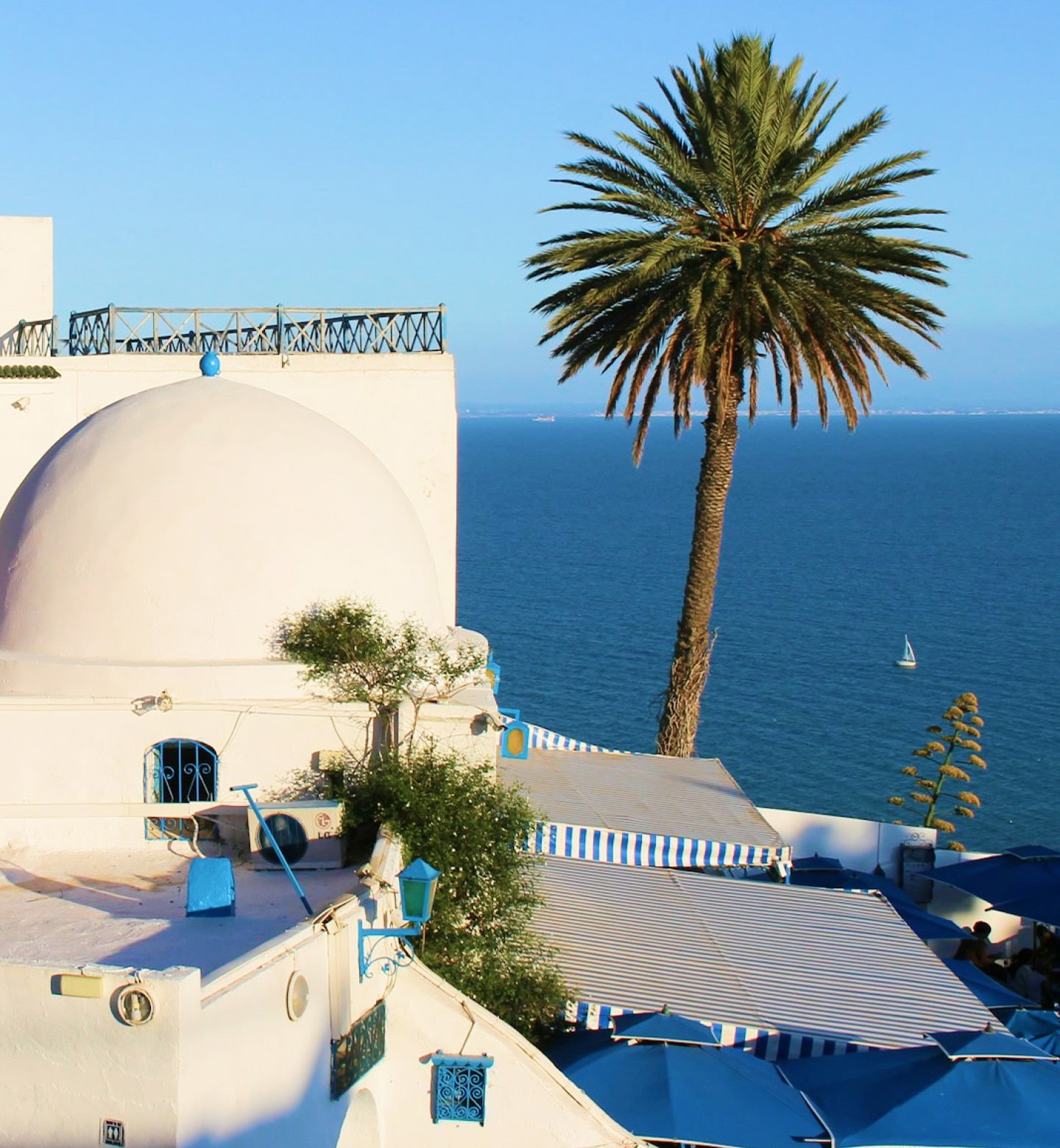 White sea-front buildings and palm trees against a turquoise blue sea in Tunis Carthage, Tunisia.