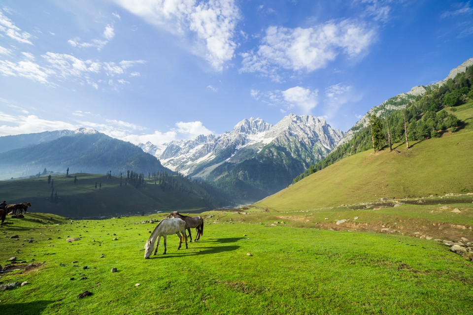 The majestic countryside of Georgia