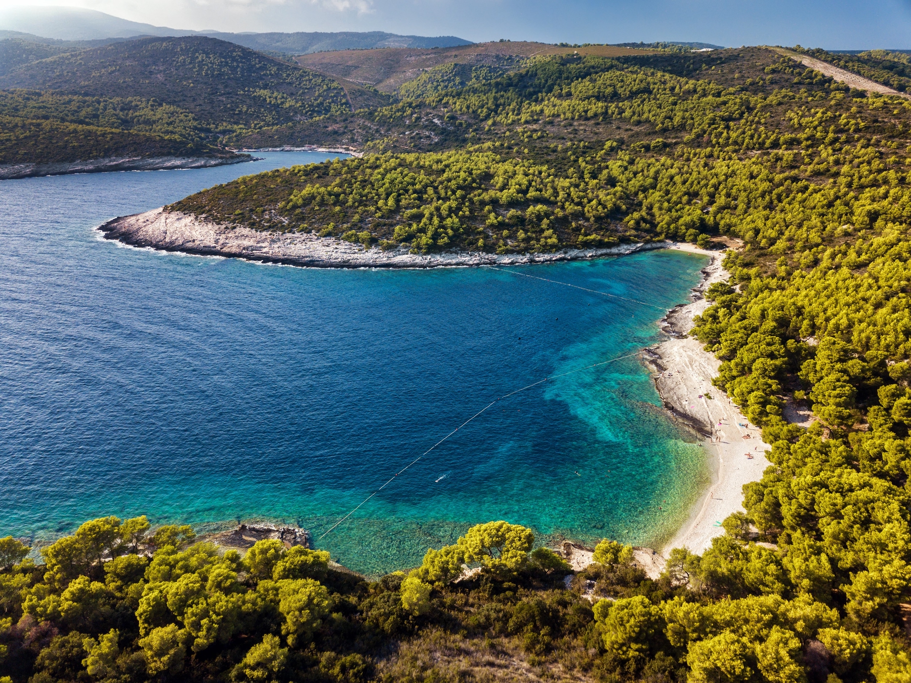 Vis