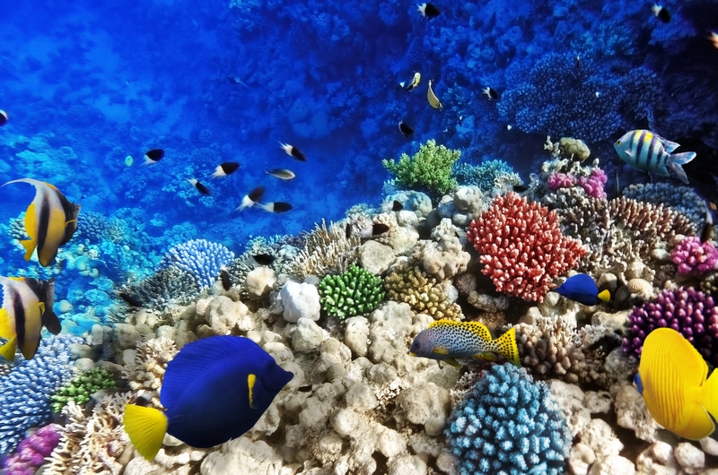 Seychelles
