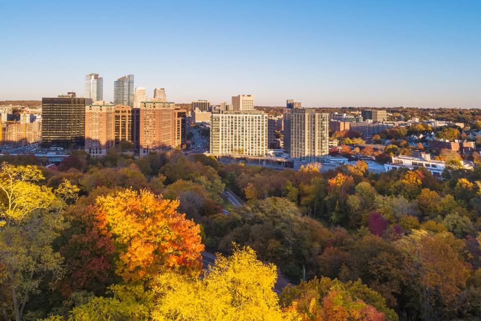 White Plains