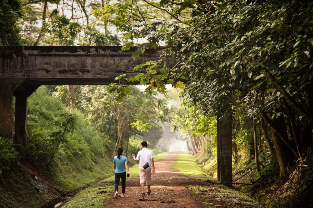 green corridor singapore