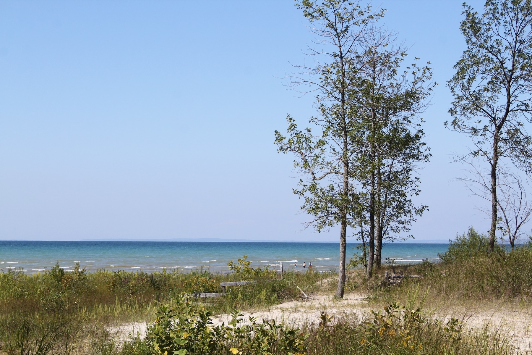 sand and grass in Wasaga Beach on a sunny day in Ontario