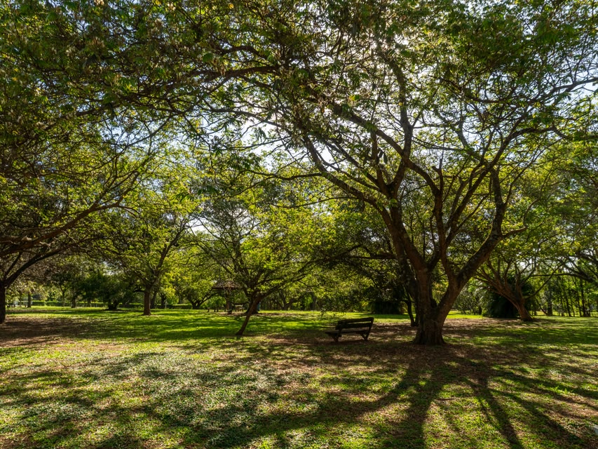 Parque Villa-Lobos - lugares tranquilos em SP