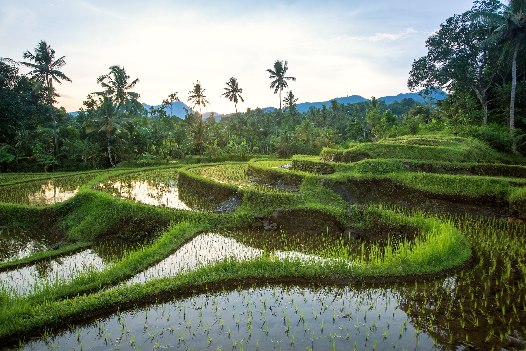 Vacaciones baratas: 17 destinos económicos: Bali