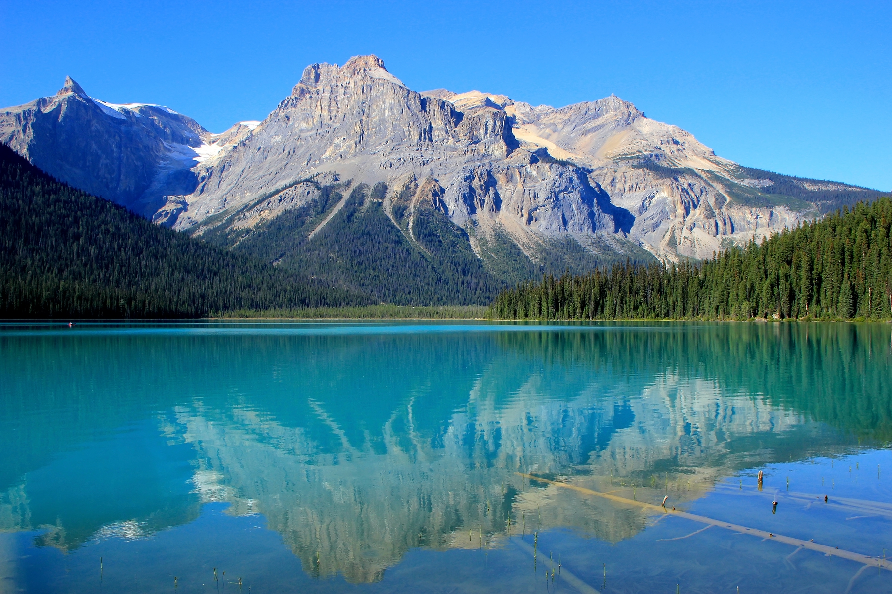 A mountain reflected on an emerald lake on a sunny day in Yoho national Park BC.