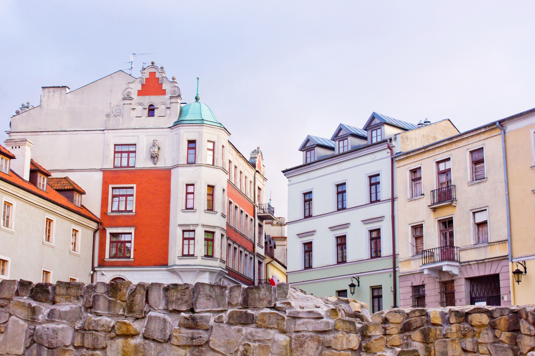 Poznaj krzykacza miejskiego