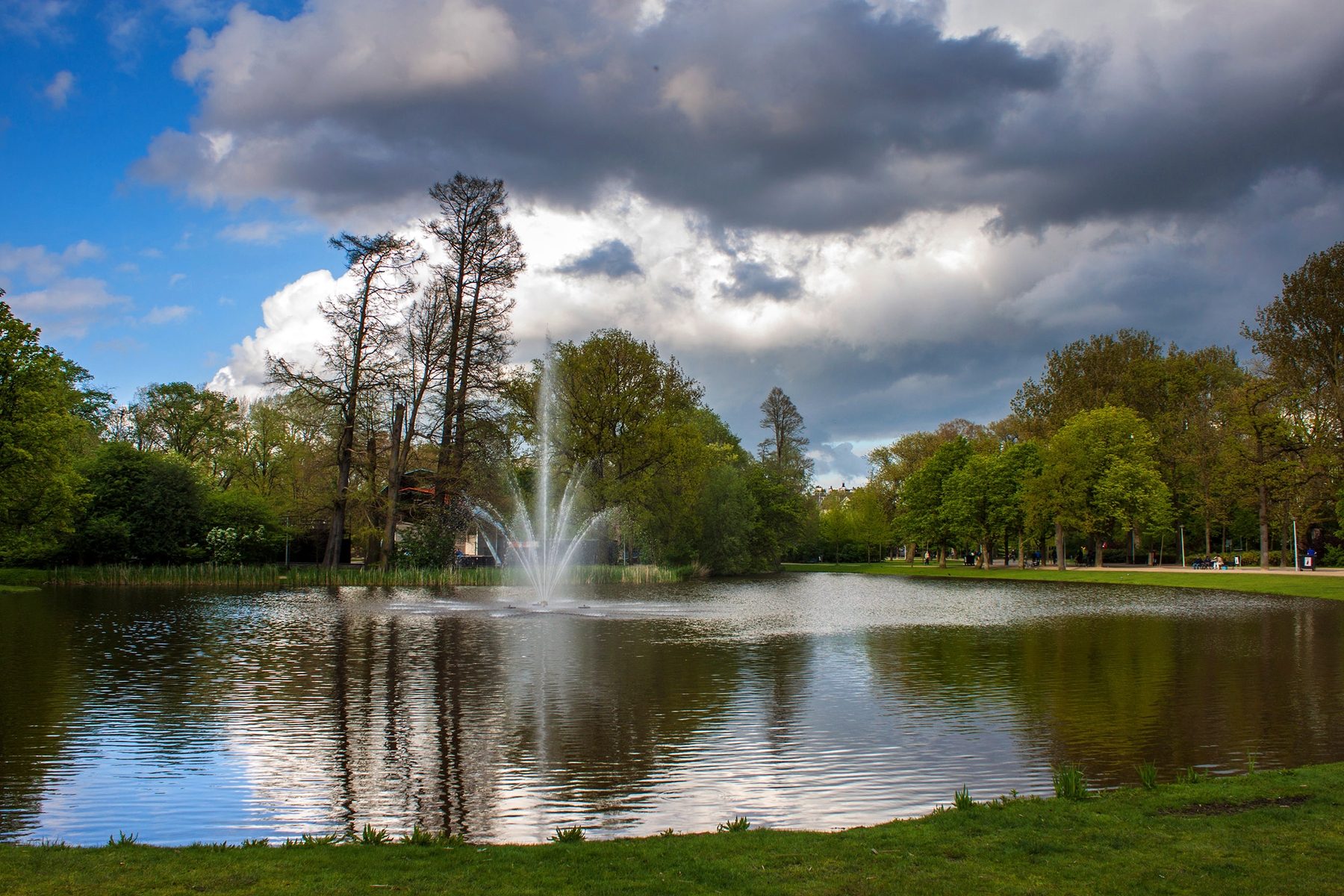 Une image du Vondelpark à Amsterdam