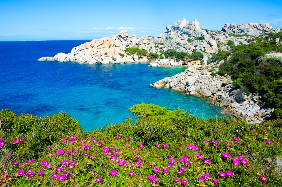 Scene of Sardinia featuring a white rocky coast, azure blue waters and purple wildflowers in the foreground.