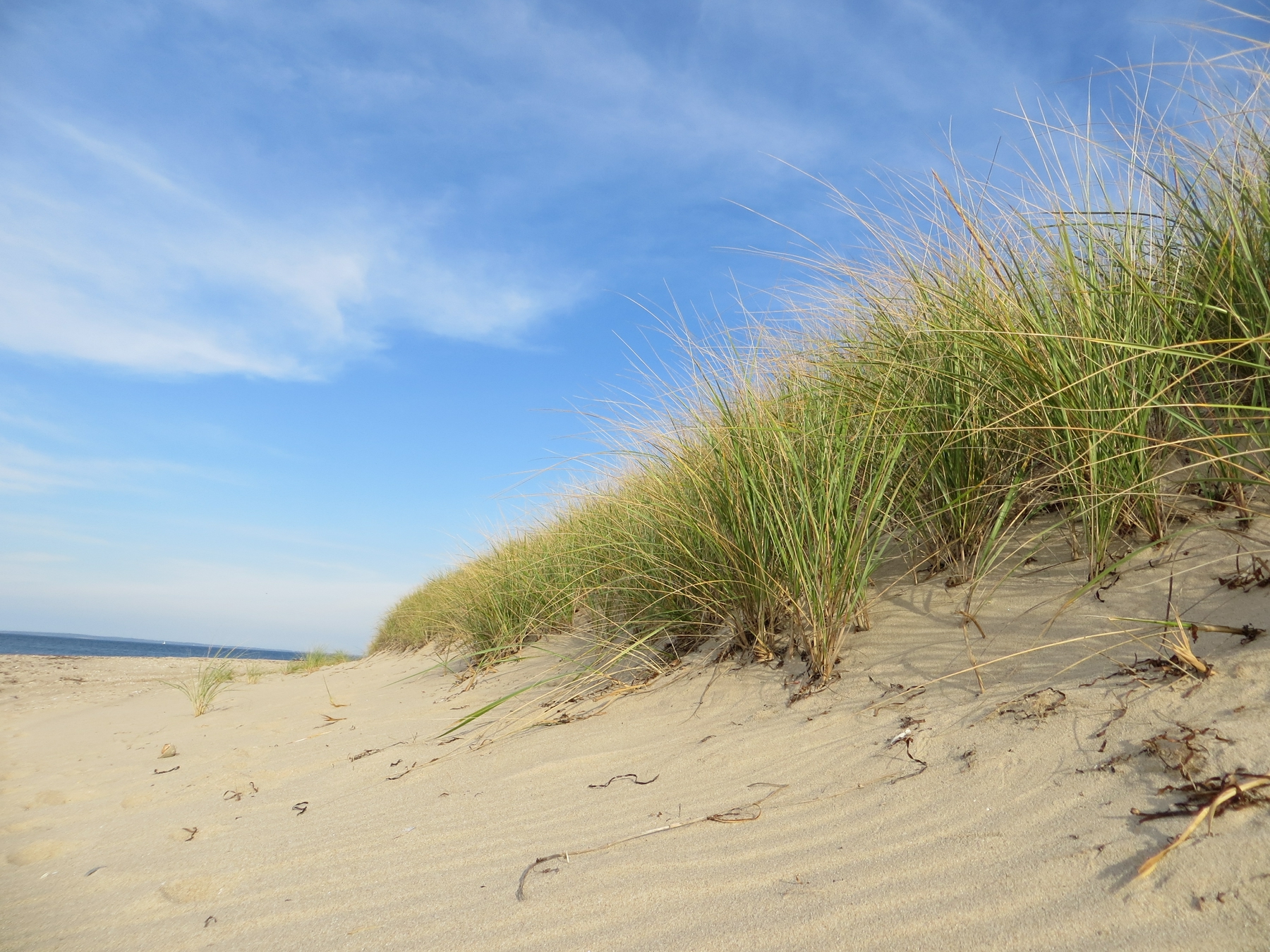 ripples of sand
