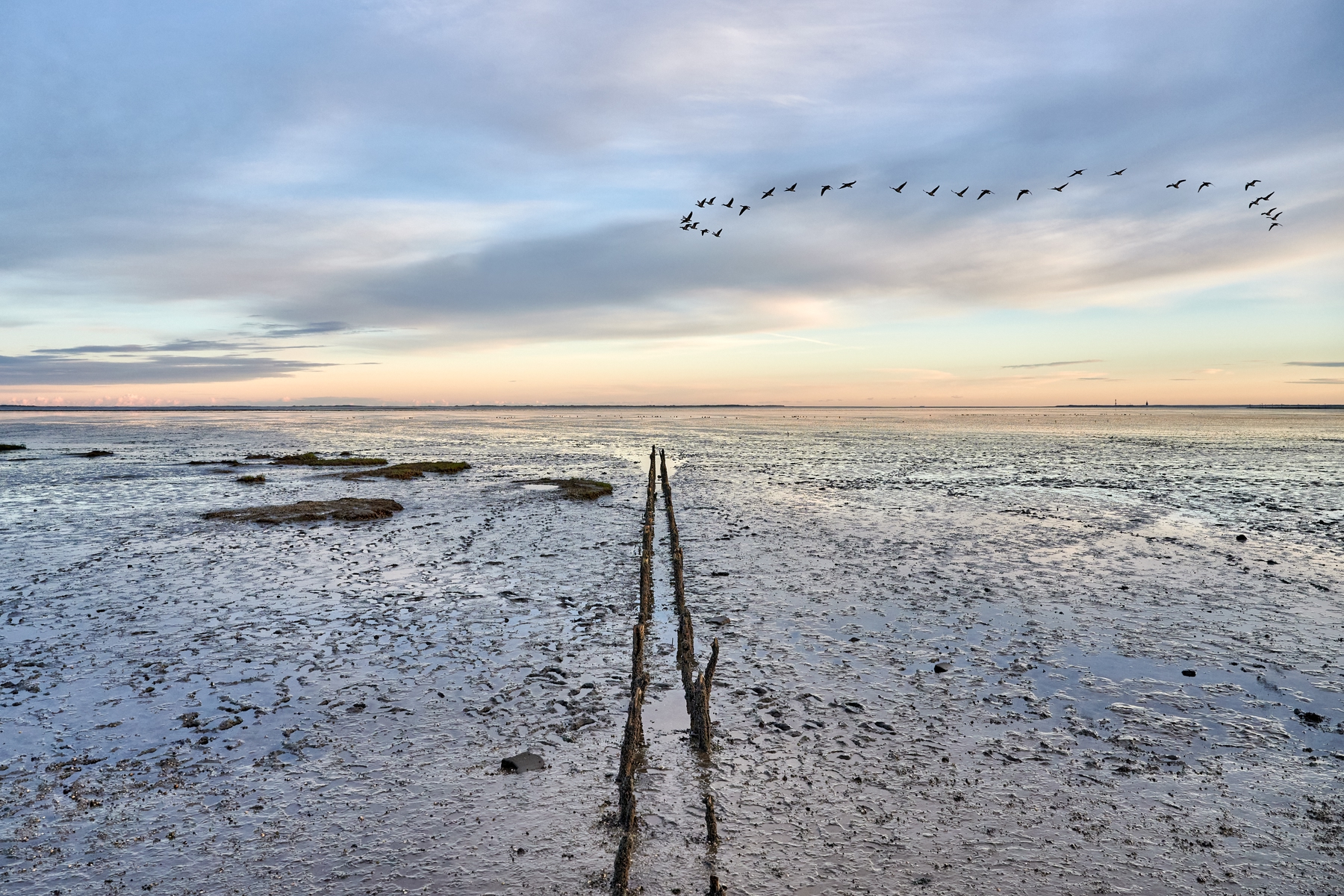Natuur in Duitsland: Waddenzee, Noord-Duitsland