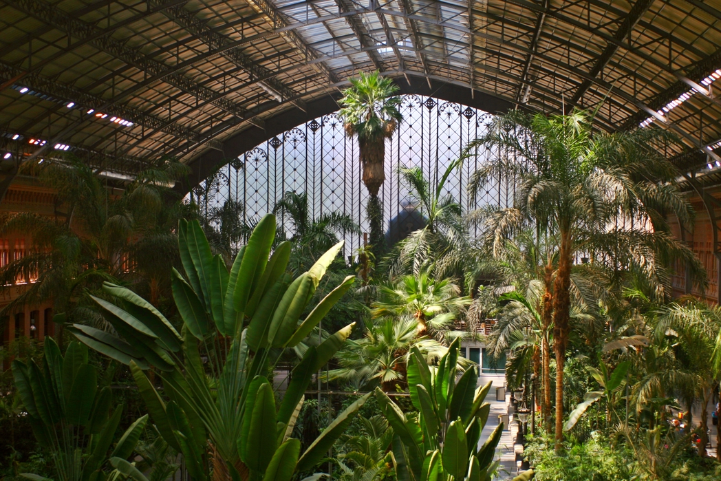 Atocha Station tropical garden