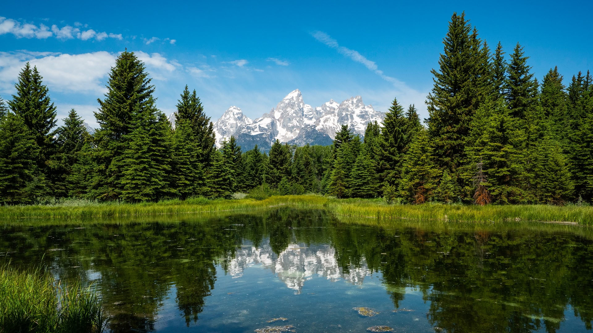 Wyoming