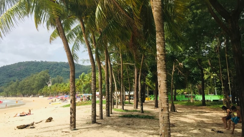 beautiful beach with palm trees in Thailand