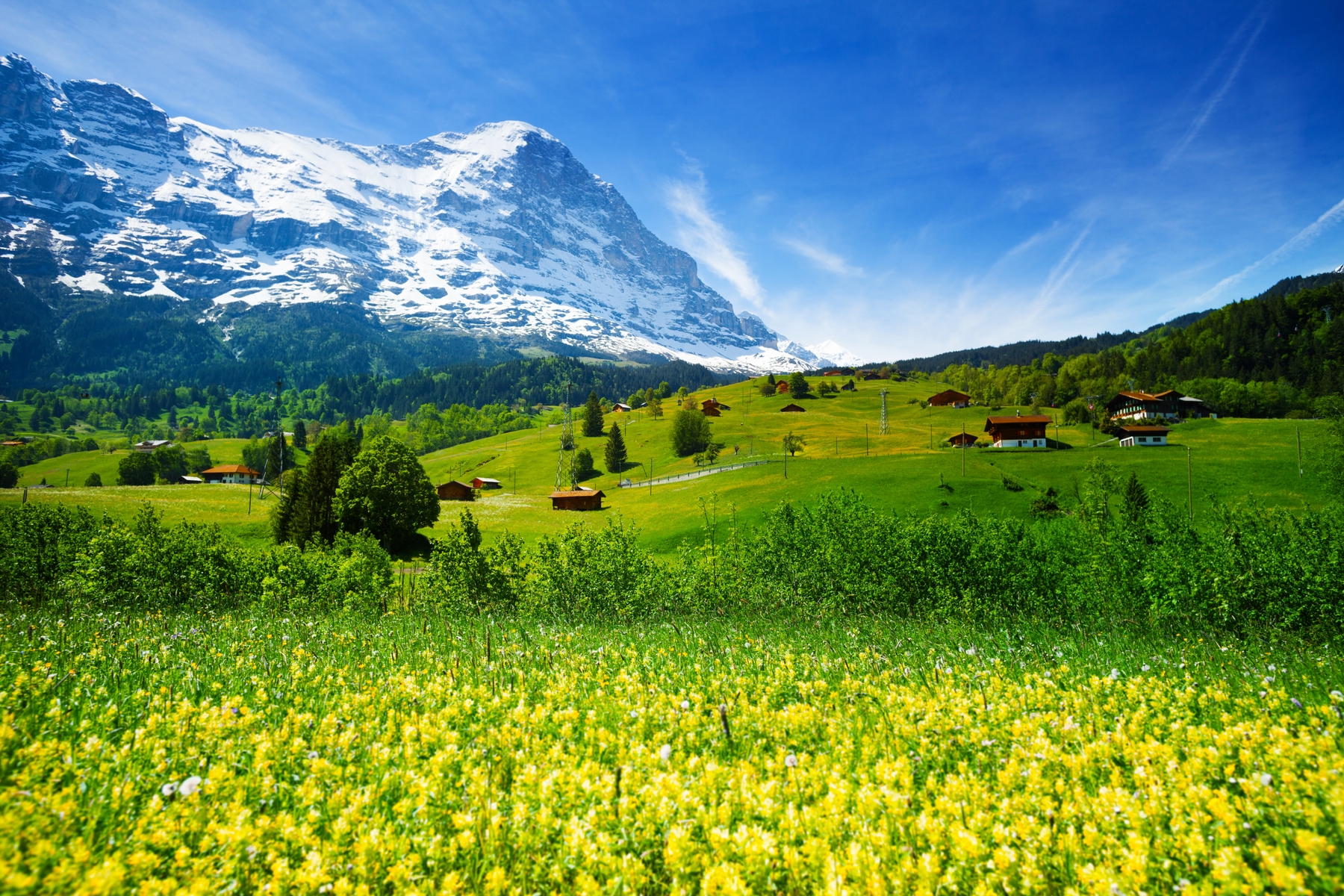 Wanderferien in der Schweiz