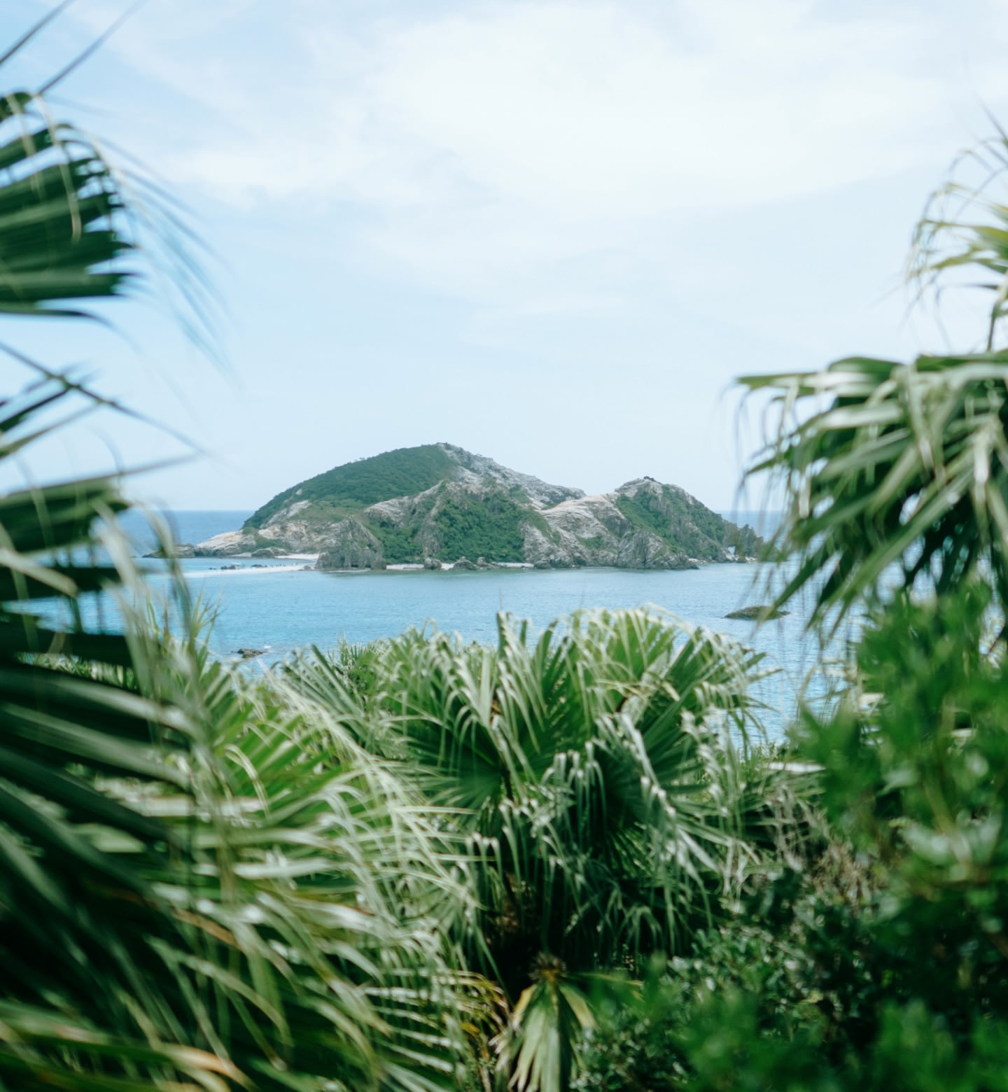 Eine üppige bewachsene Insel in Okinawa, Japan, durch dichte Palmen und über türkisfarbenes Wasser hinweg gesehen.