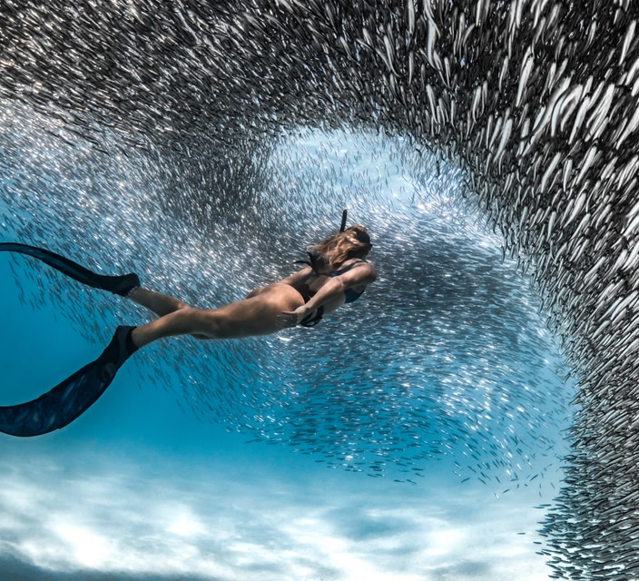 Female swimming through a Shoal of Fish at Ningaloo Reef, Coral Bay