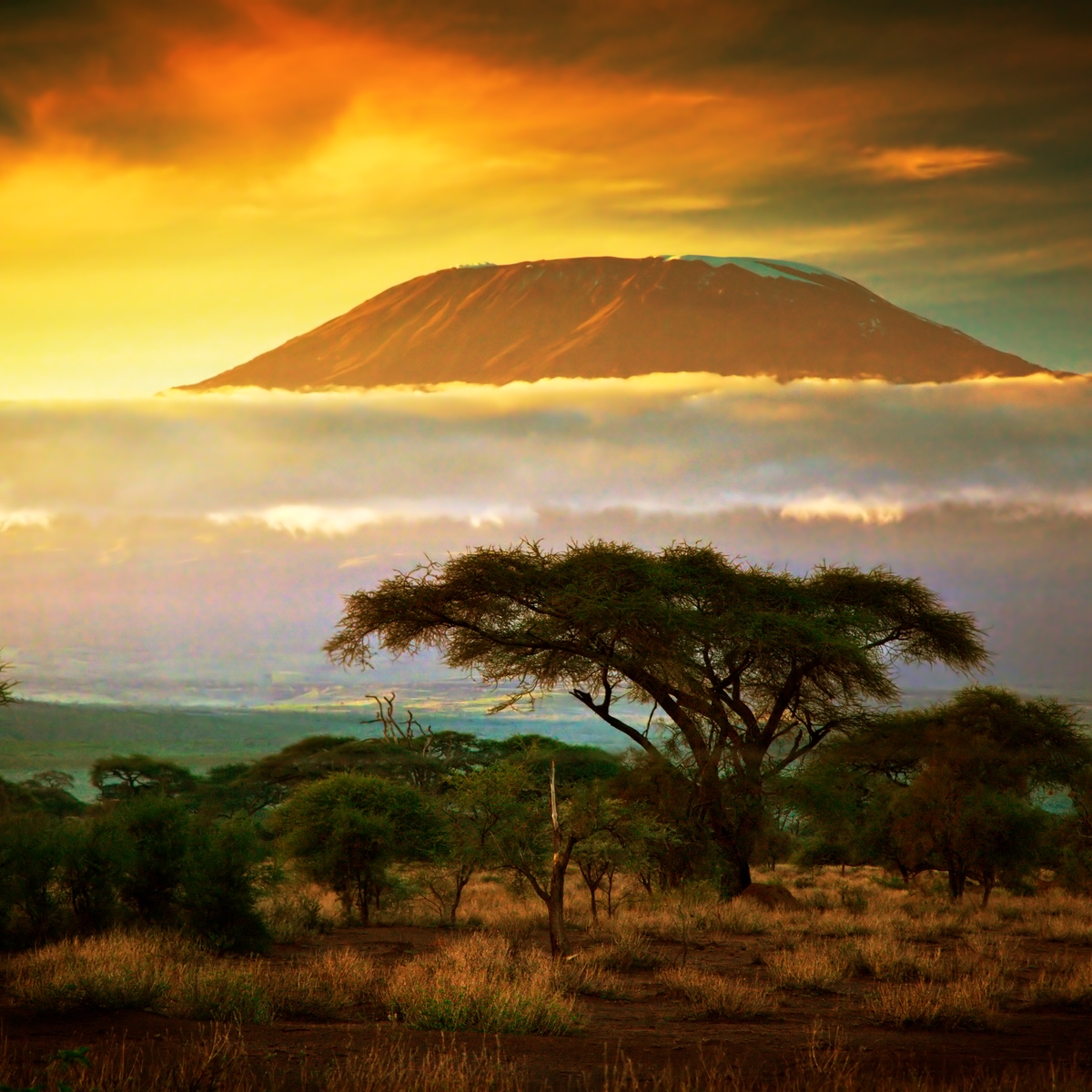 Die schönsten Reiseziele Afrikas: Berg Kilimandscharo, Tansania