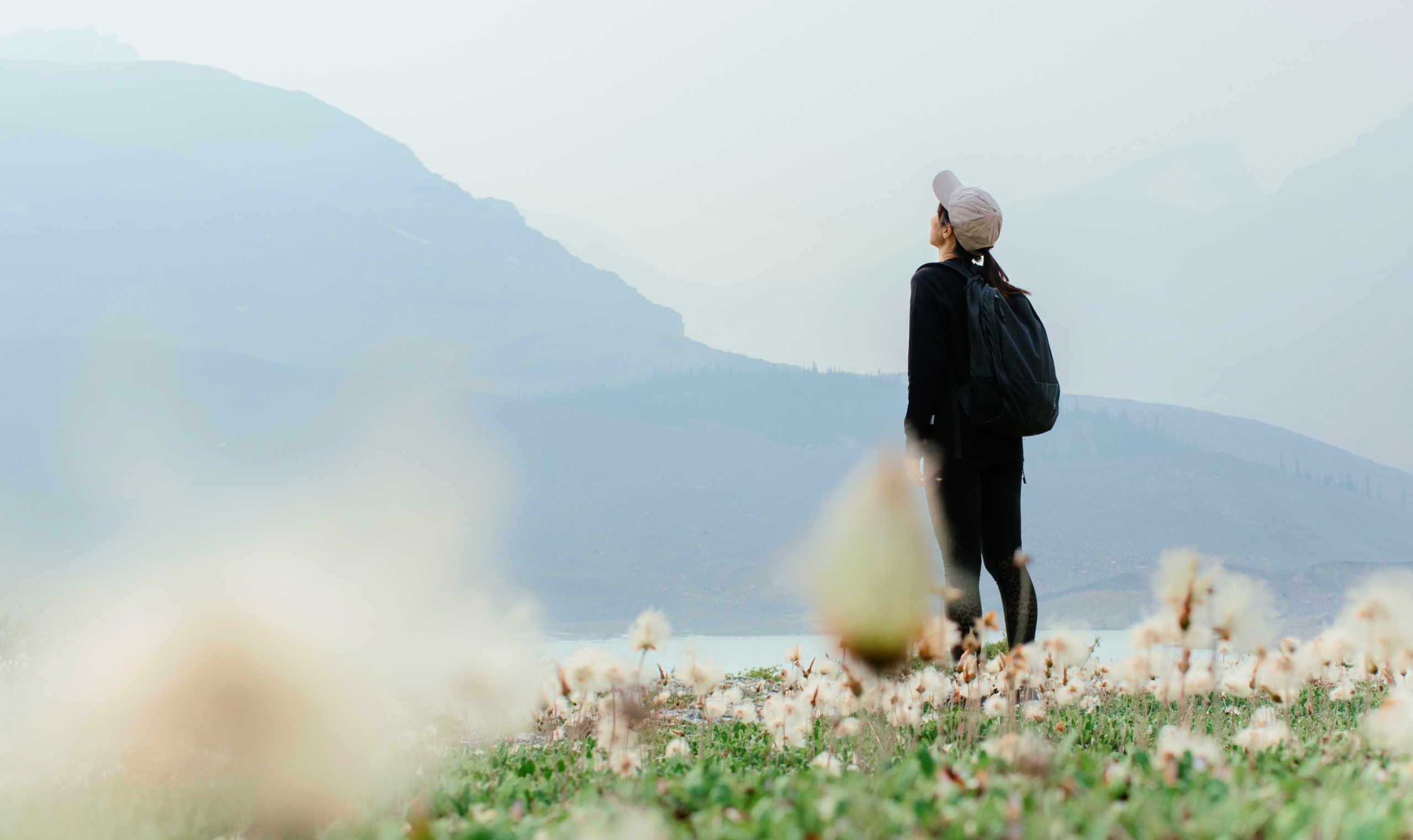 バックパックを背負ったハイカーが野の花が咲き乱れる草原に立ち、霧がかかった山々を眺めている。
