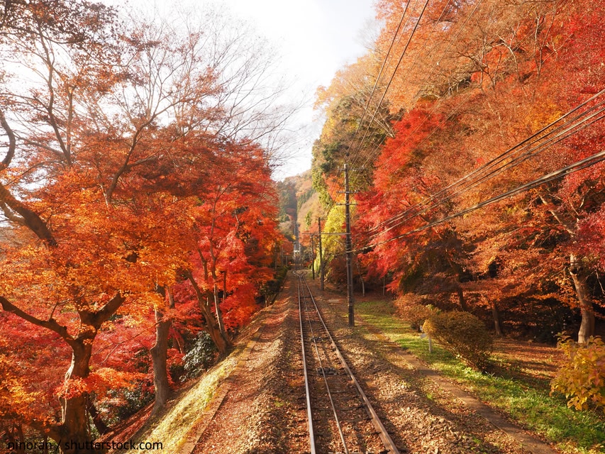 東京 高尾山
