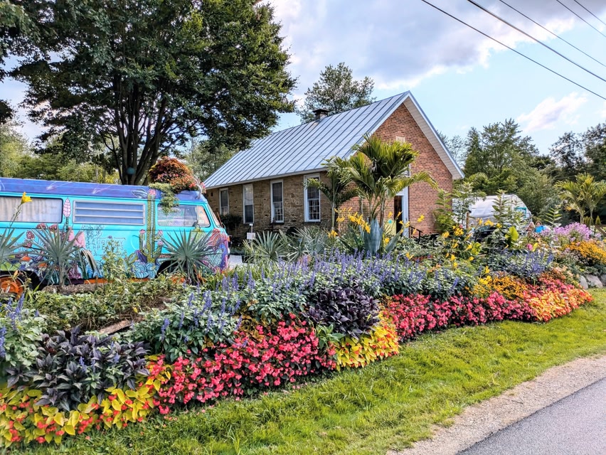 casa com flores e gramado na frente - o que é pousada