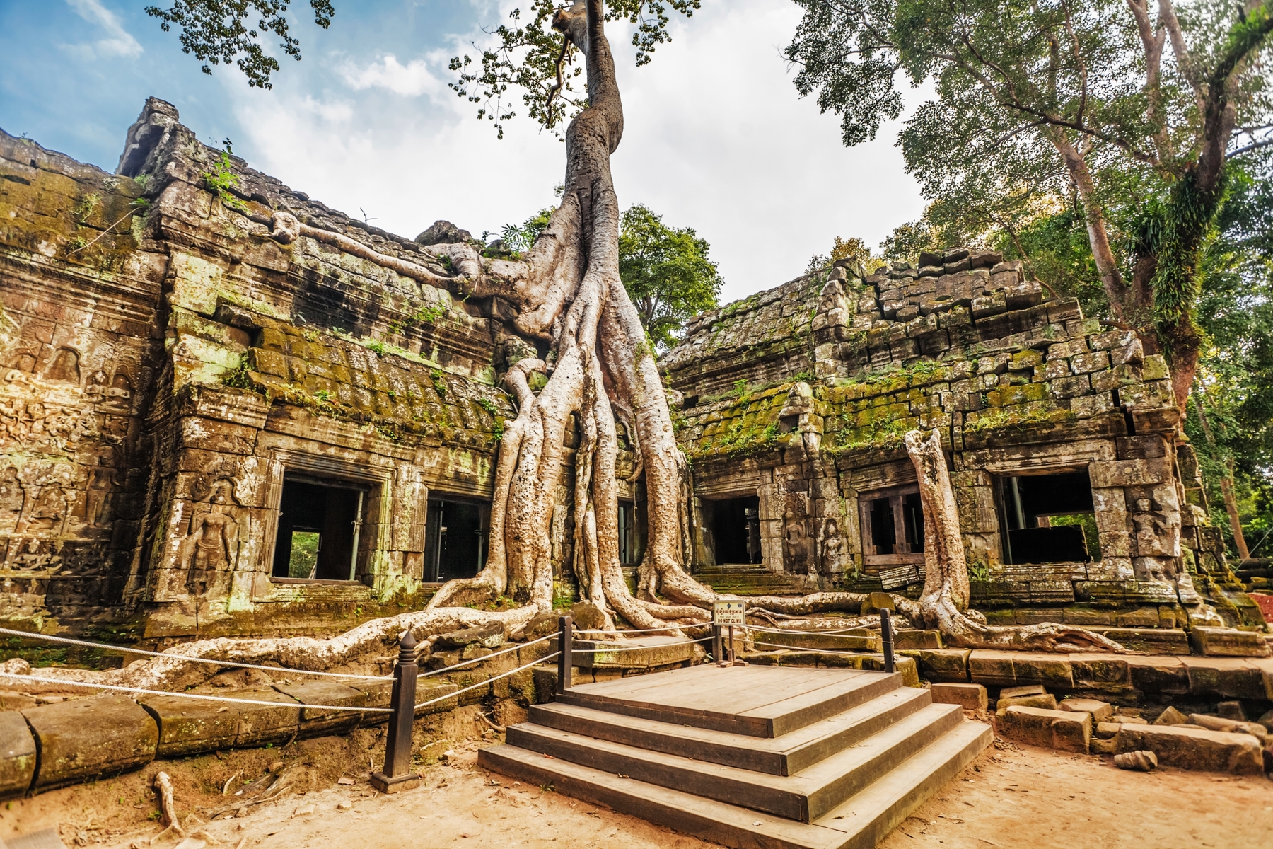 tree growing over Ta Prohm temple in Angkor Wat
