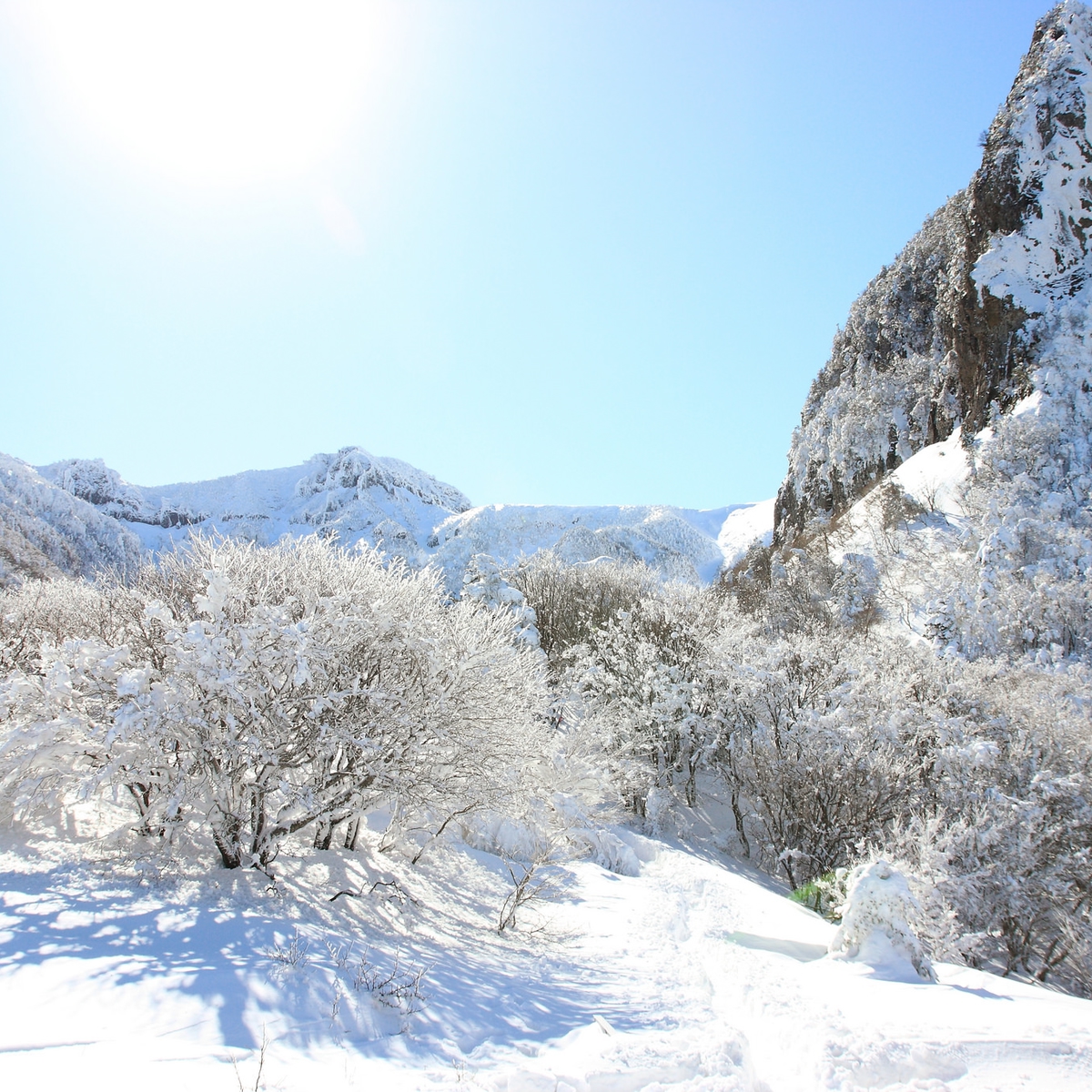 Winter in Deutschland - Tipps gegen den Winterblues: Möglichst viel Sonne tanken