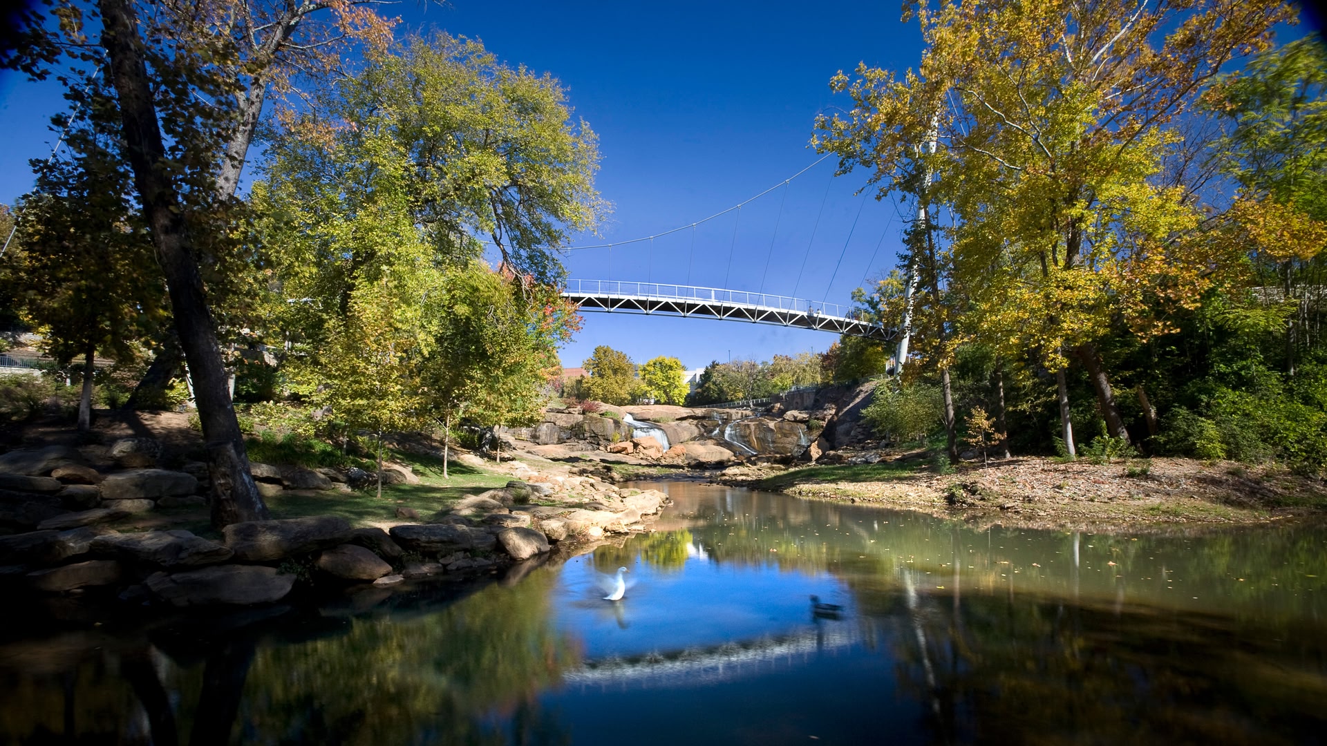 Greenville