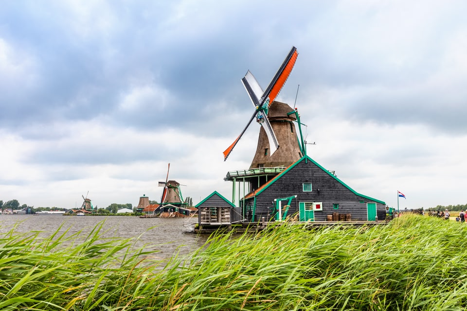 Amsterdam wiosną najlepiej zwiedzać rowerem.
