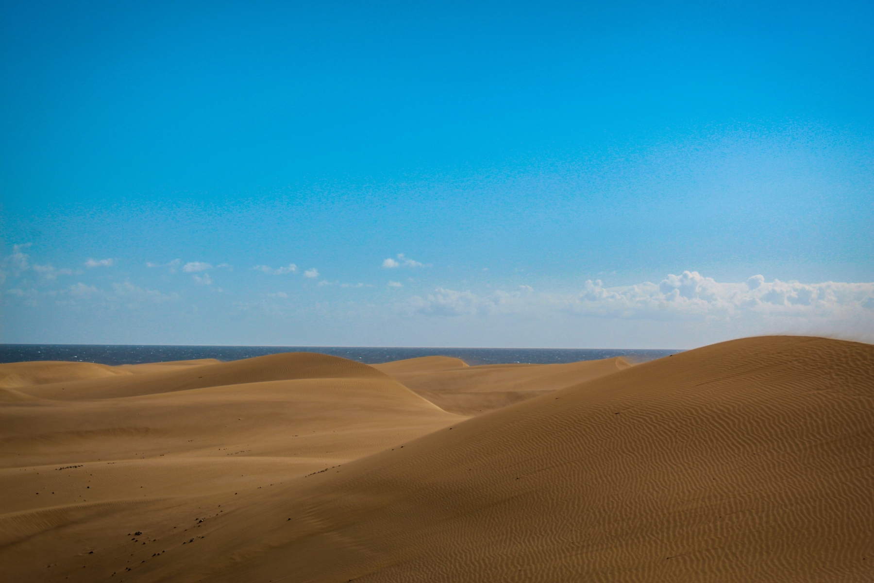 Vakantie Gran Canaria