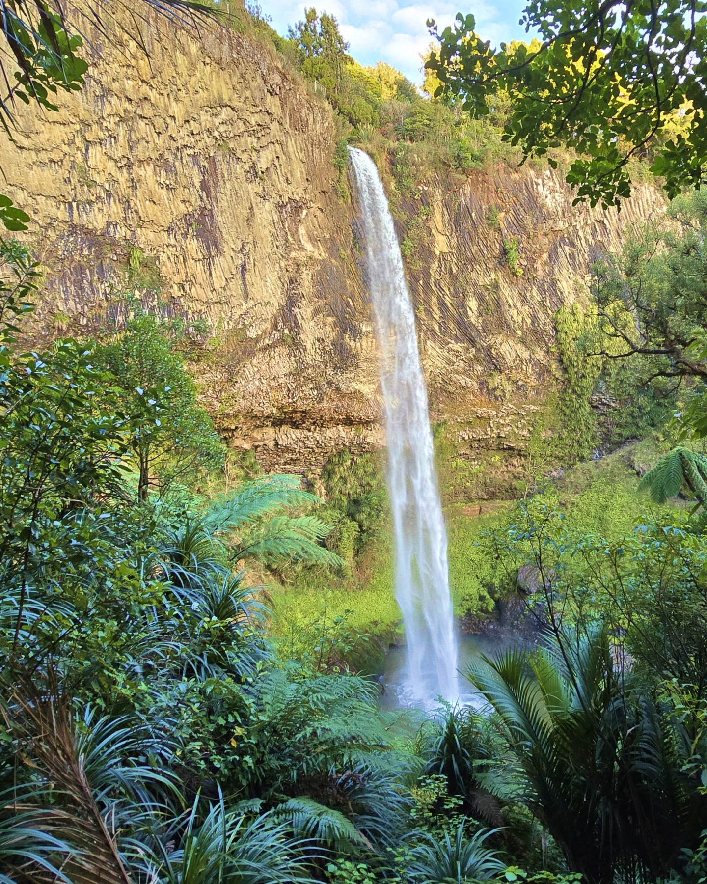 A tall waterfall cascades down a rock face into a pool surrounded by exotic trees and plants in Hamilton, New Zealand
