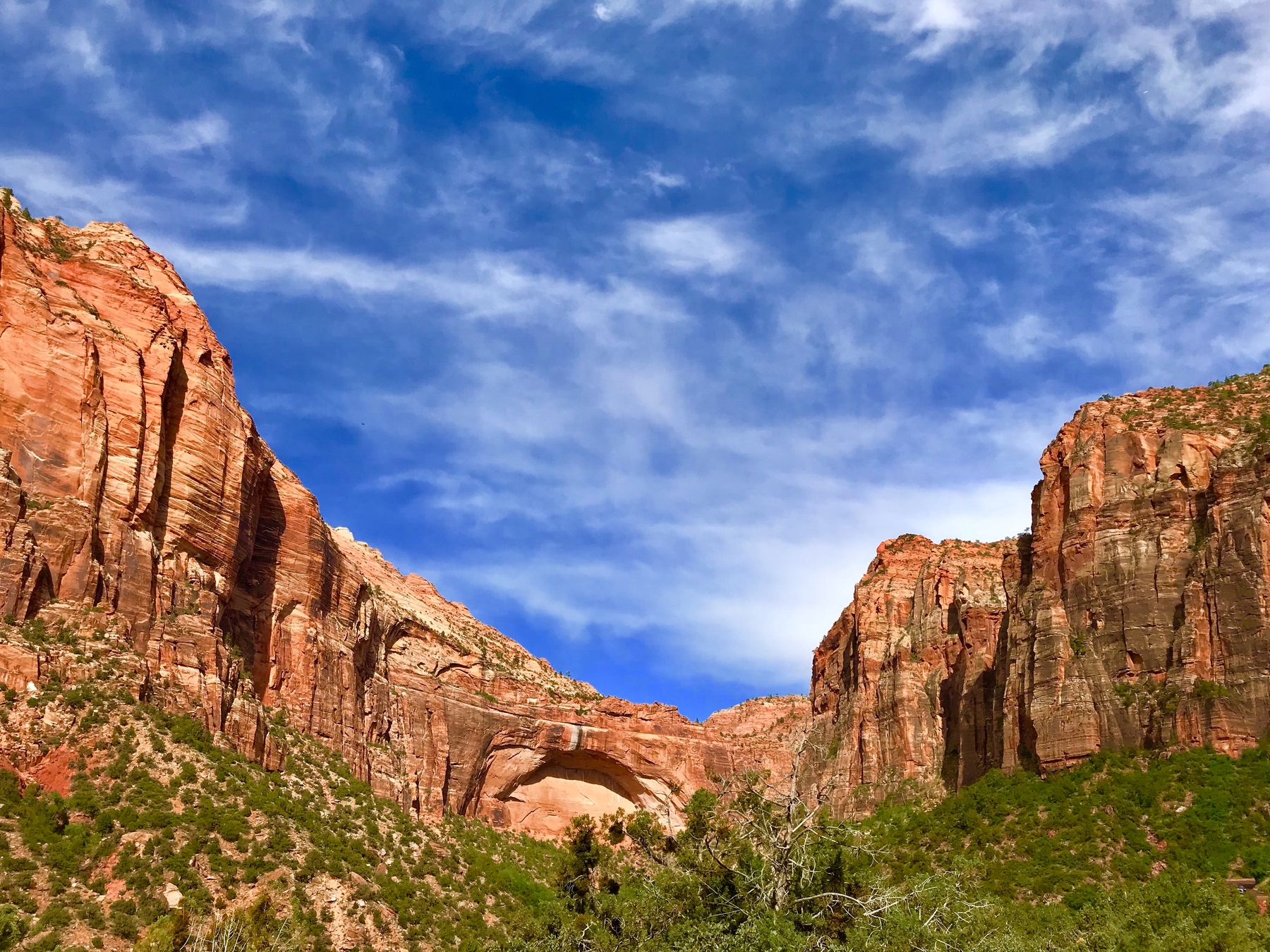 Towering reddish-orange cliffs in Zion National Park