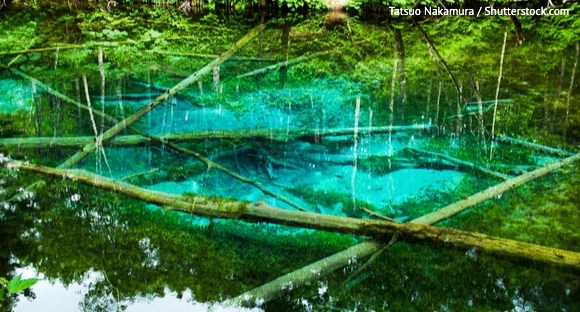 北海道 知床 神の子池