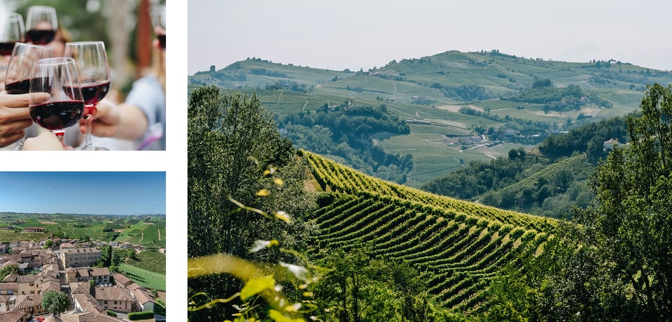 Un vigneto collinare in Italia, con immagini di un brindisi con vino rosso e una vista aerea di un paese.