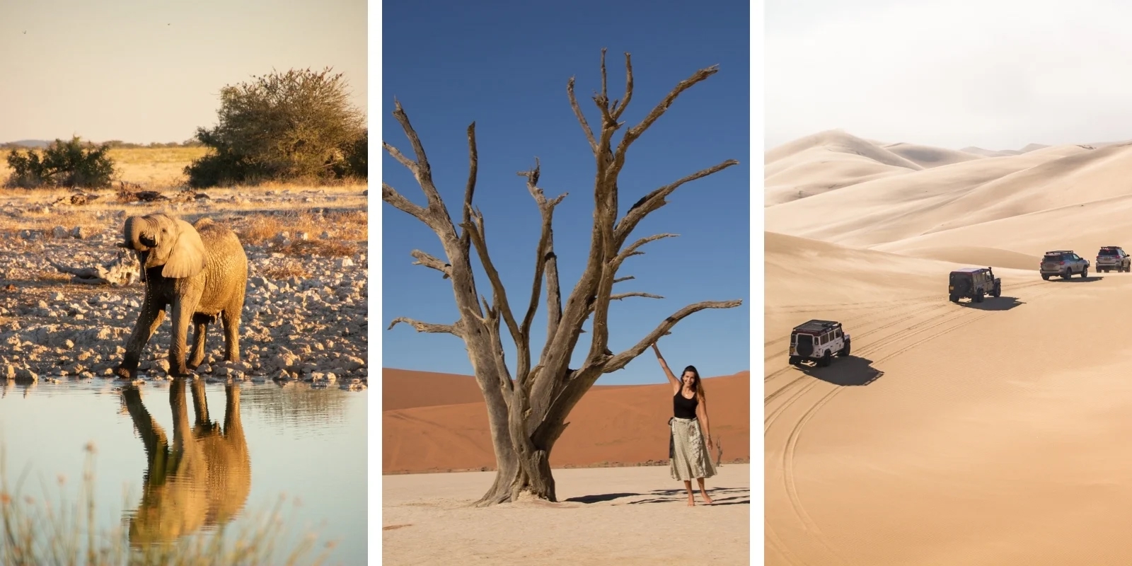 Montagem com fotos do Etosha National Park | Dead Vlei | Costa do Esqueleto na Namíbia - país perfeito para uma viagem longa de carro