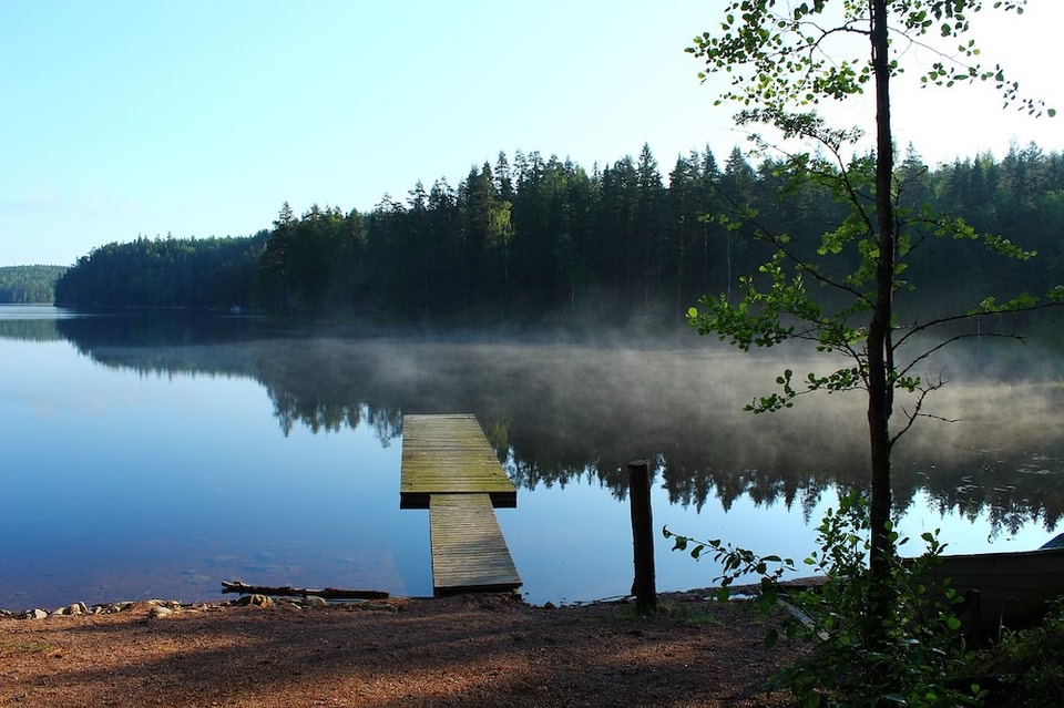 Wat te doen in Helsinki en omgeving? Wandelen in de bossen rond Espoo, Finland