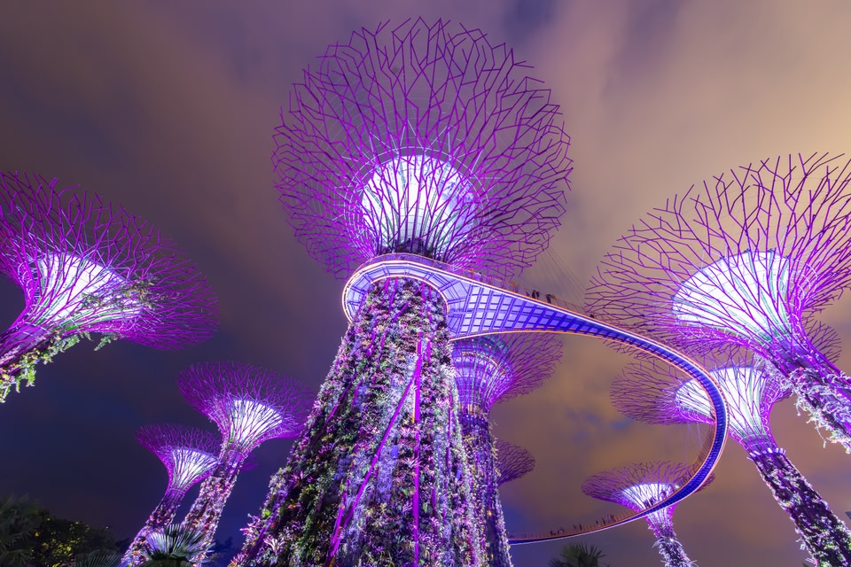 Oι Gardens by the Bay φωτισμένοι τη νύχτα - πώς να περάσετε 72 ώρες στη Σιγκαπούρη