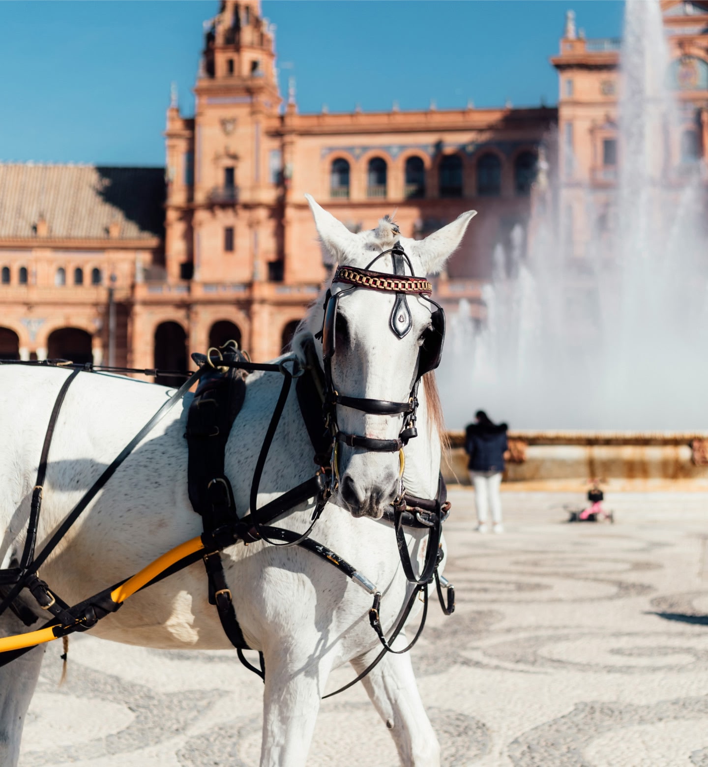 Un cheval blanc attelé se tient près d'une fontaine sur la place d'Espagne, à Séville.