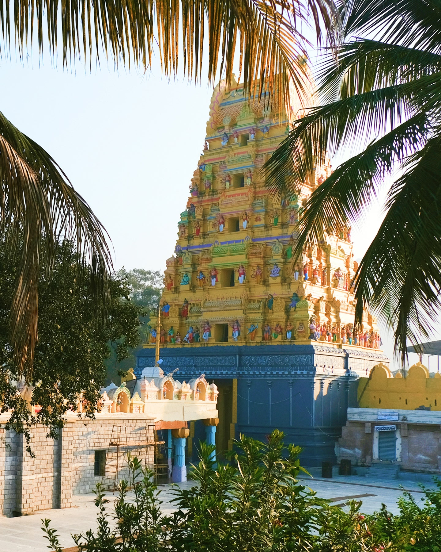 A golden temple adorned with colourful carvings is glimpsed from between palm branches in Tirupati, India.