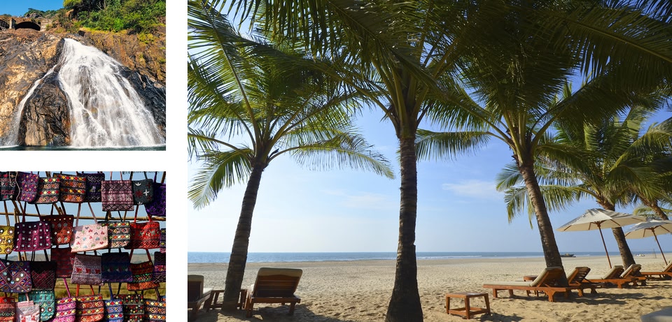 3 images: 1 of bags hanging up, 1 of a beach and palm trees and a waterfall 